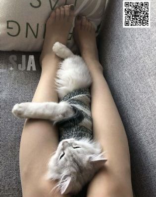 江河之上电视剧免费观看