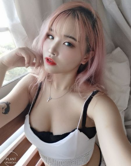 动画电影大全免费播放高清