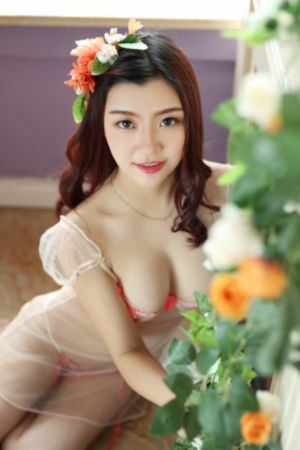 恶魔罪恶电视剧从哪里看