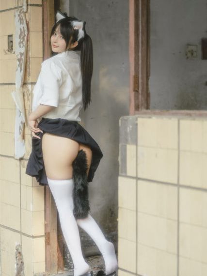完美世界600集免费播放