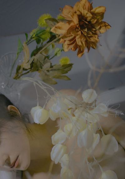 欲望之花在线