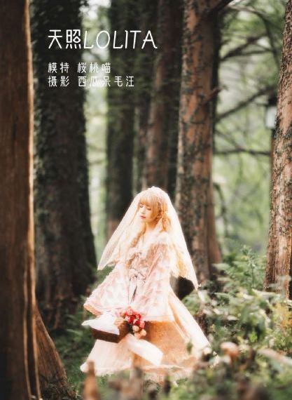 生菜的功效与作用