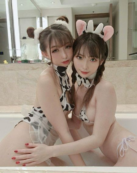 茯苓