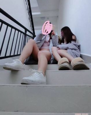 51动画