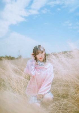 熊出没动画片全集100集免费观看